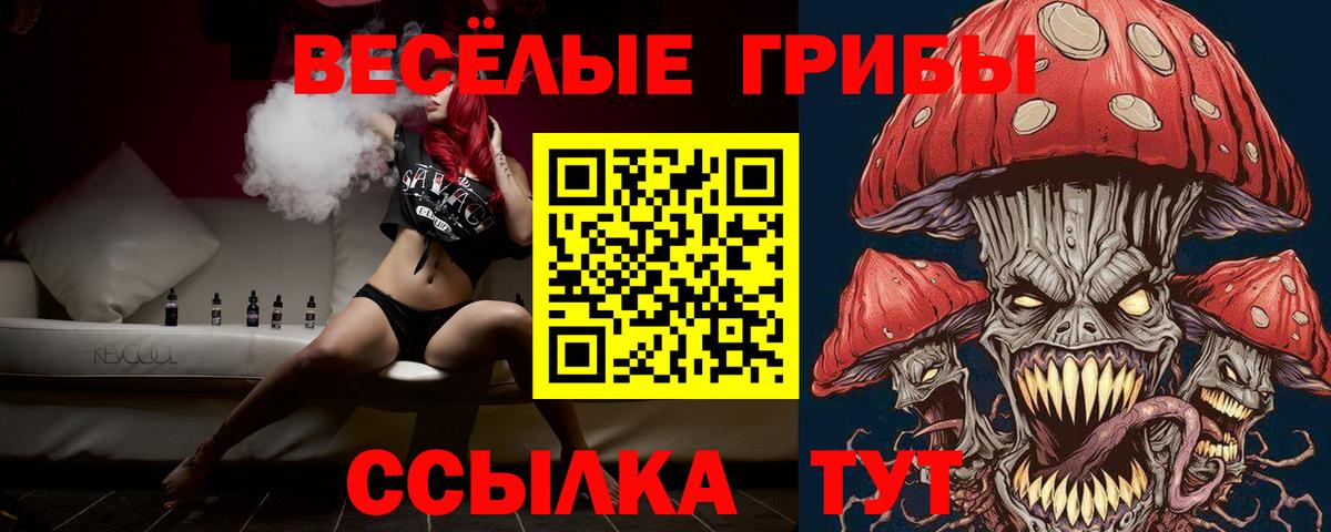 Галлюциногенные грибы Psilocybe  Вход с VPN  Псилоцибиновые грибы мицелий  Муравленко 