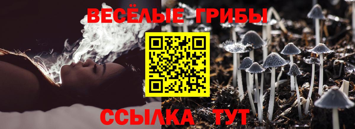 Псилоцибиновые грибы GOLDEN TEACHER Муравленко